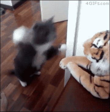 车子太闷,开窗透透气可以发?