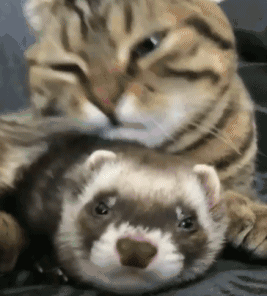 舒服吗?感动吗?