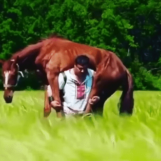 不作死就不会死