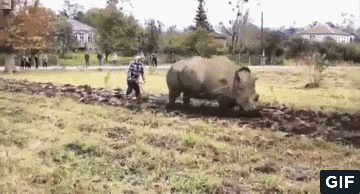 撒宁港只有累死滴牛没有耕坏滴田