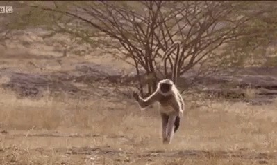 当代小孩身体素质能力褪化,学什么才最有益身心.乱