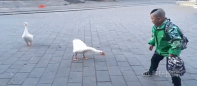 馋牢呸  643                5              