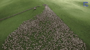 300_168gif 动态图 动图