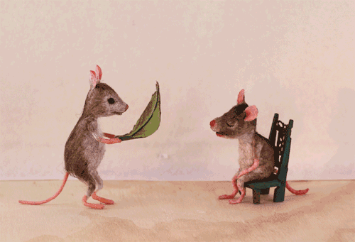 500_341gif 动态图 动图