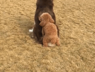 314_238gif 动态图 动图